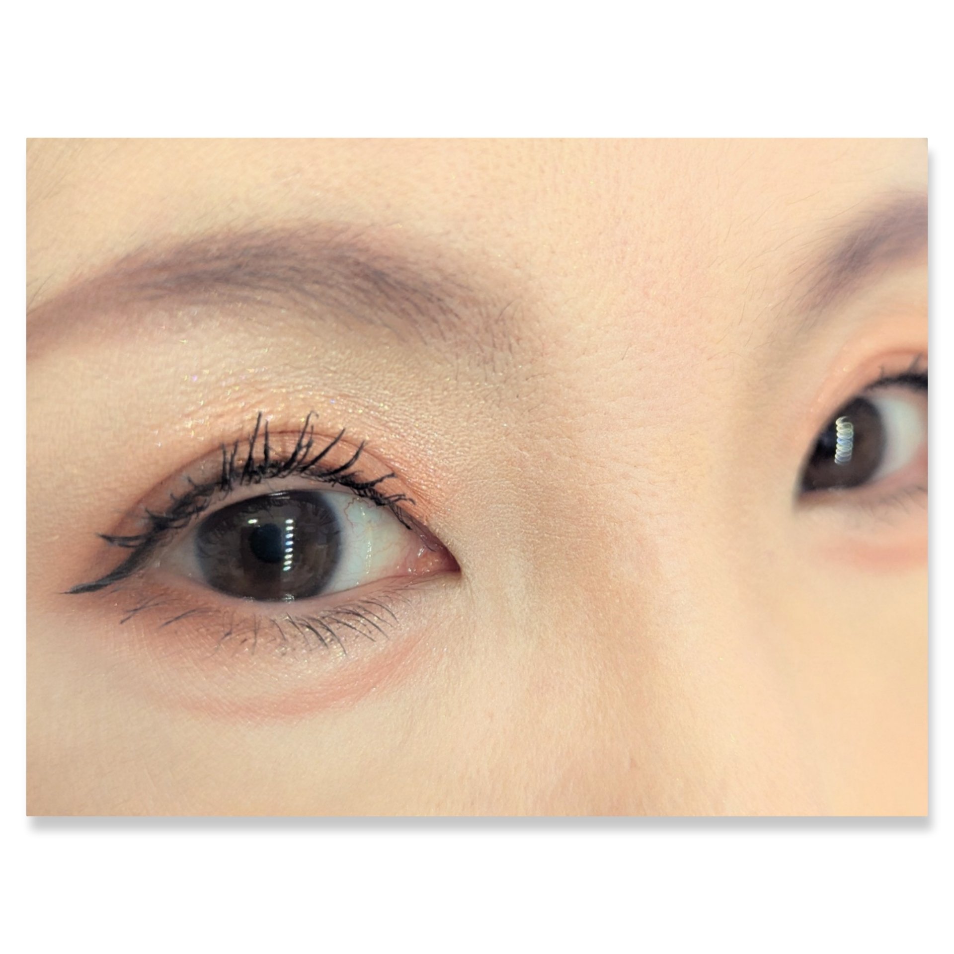 ジュエリーシャドウベール/キャンメイク/アイシャドウパレットを使ったクチコミ（2枚目）