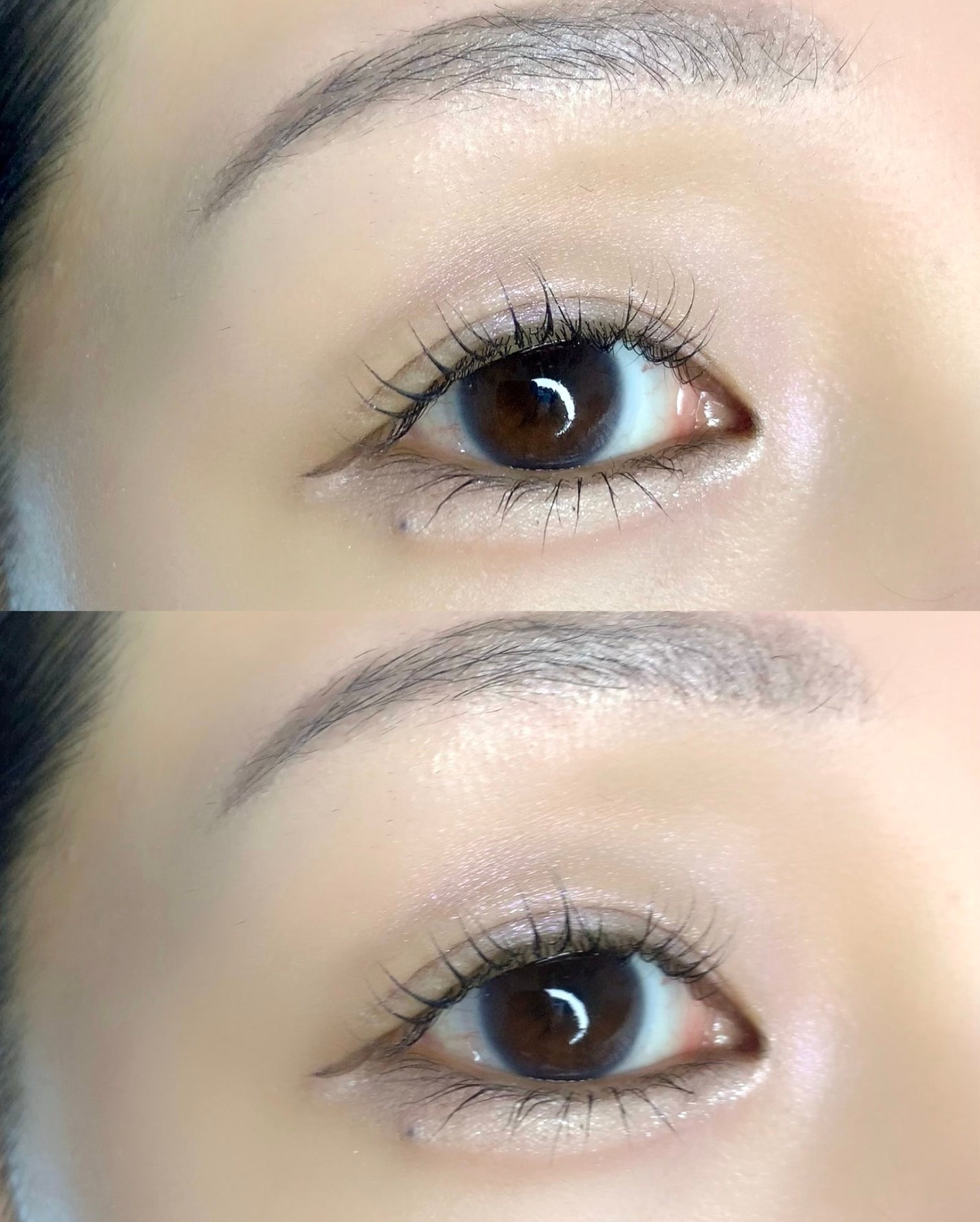 プランぷくコーデアイズNeo/キャンメイク/アイシャドウを使ったクチコミ(6枚目)