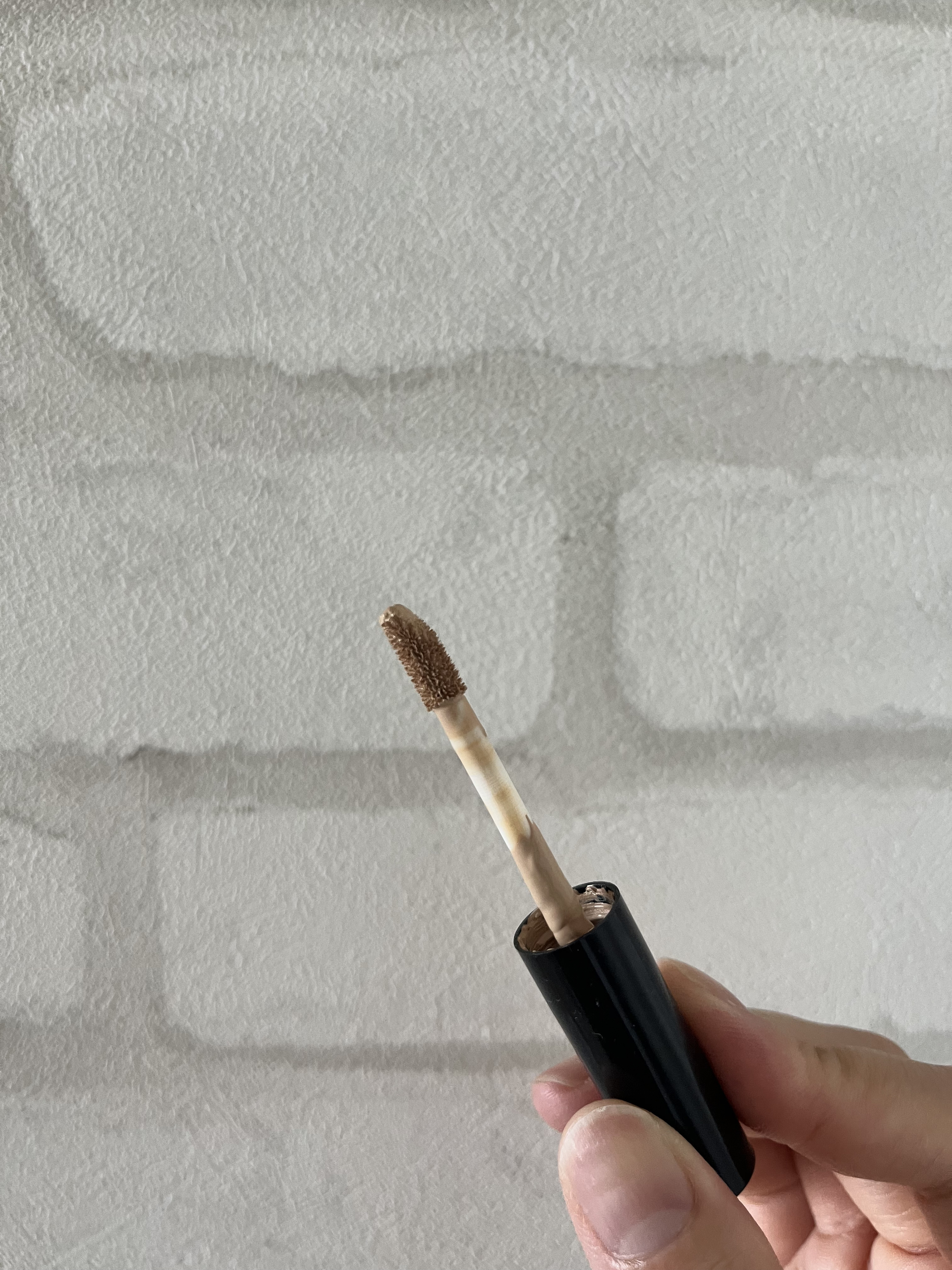 ミネラライジング ポア コンシーラー/the SAEM/リキッドコンシーラーを使ったクチコミ（2枚目）