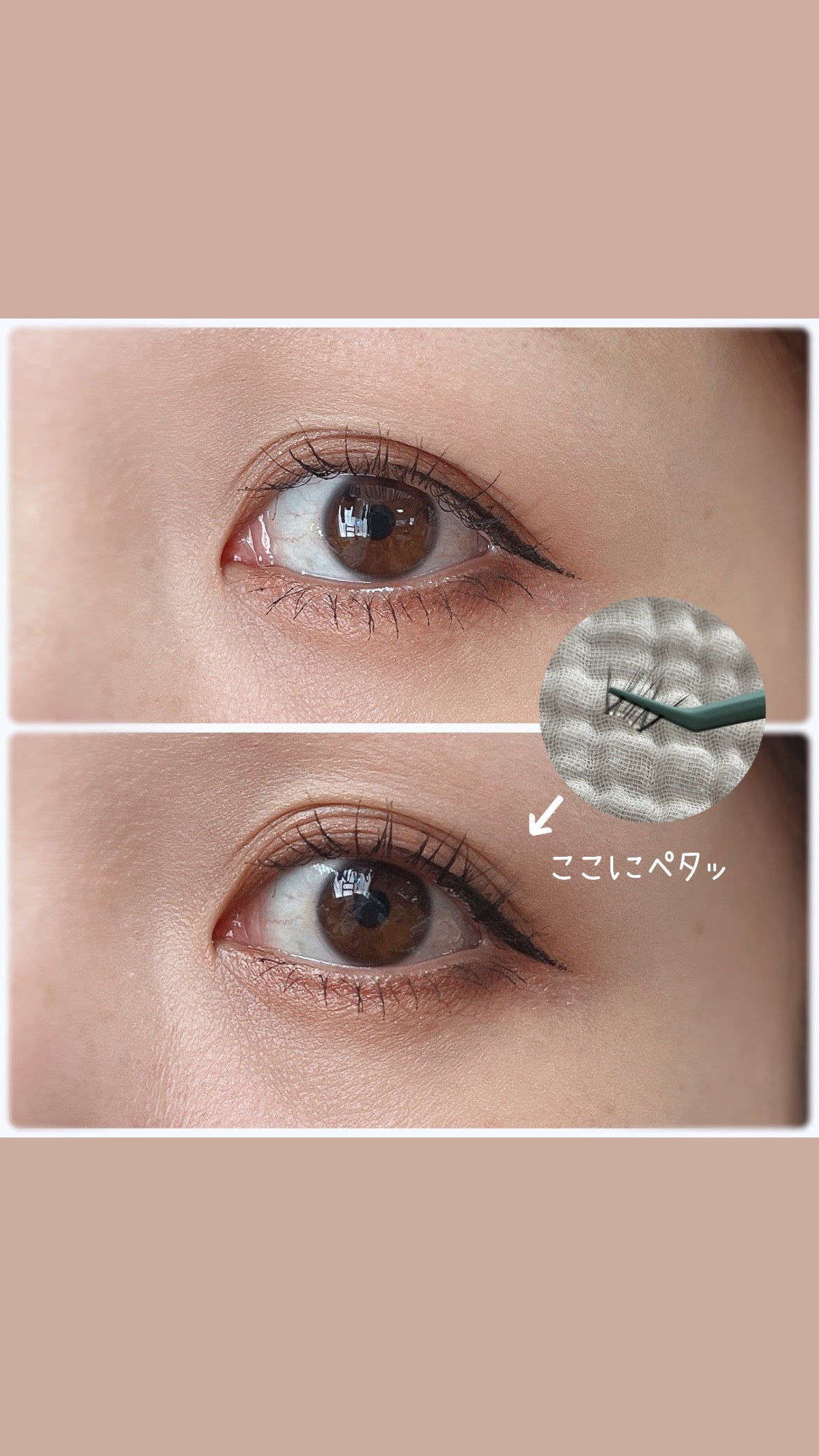 Butterfly Eyelash/BLJ/つけまつげを使ったクチコミ(3枚目)