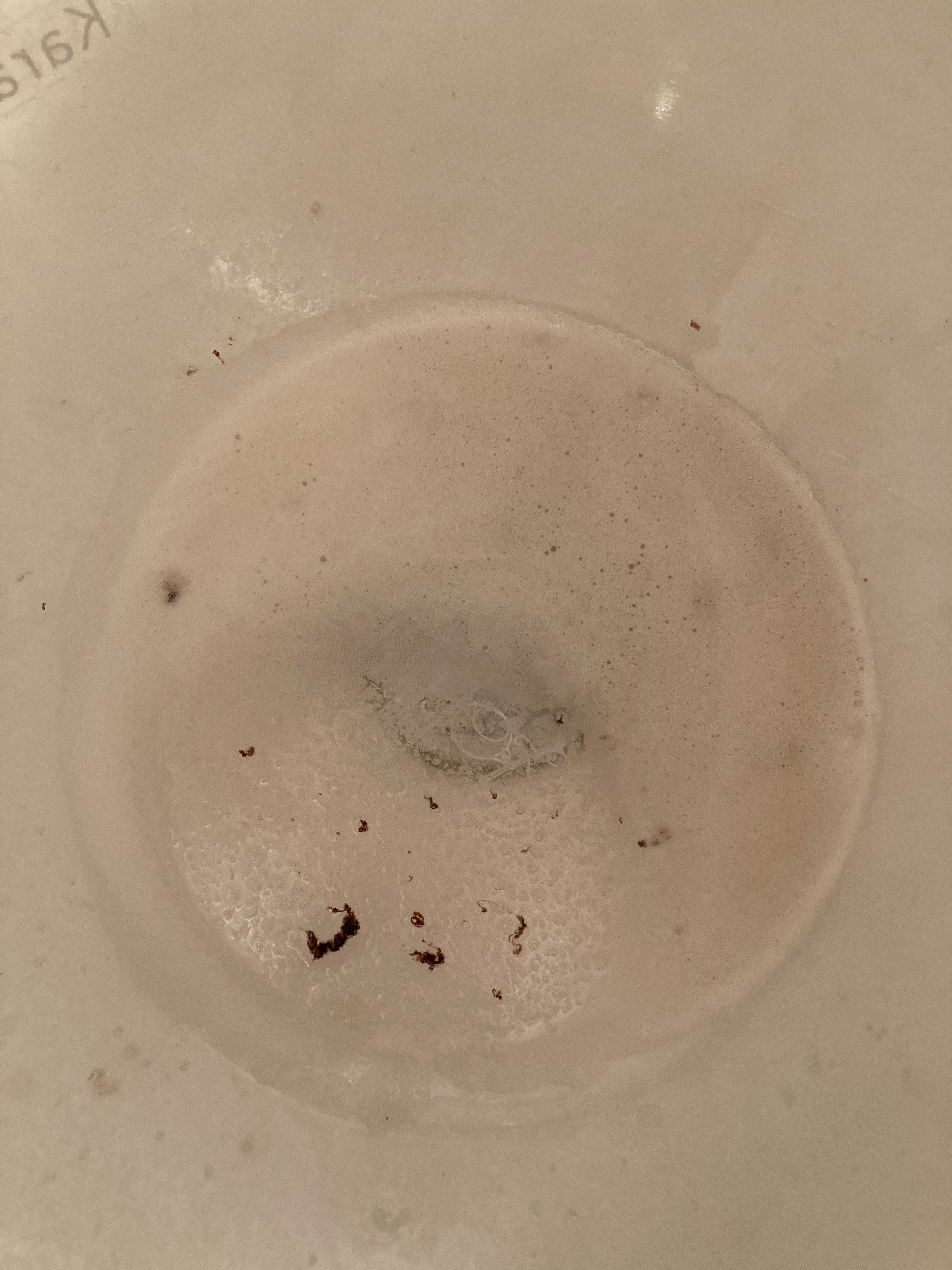 プロポリンス/プロポリンス/マウスウォッシュ・スプレーを使ったクチコミ（3枚目）