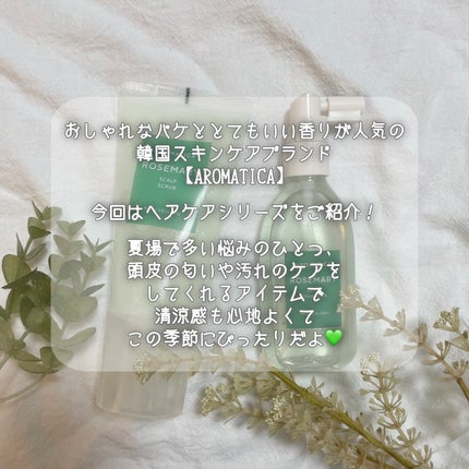 ローズマリールートエンハンサー/AROMATICA/頭皮ローションを使ったクチコミ(2枚目)