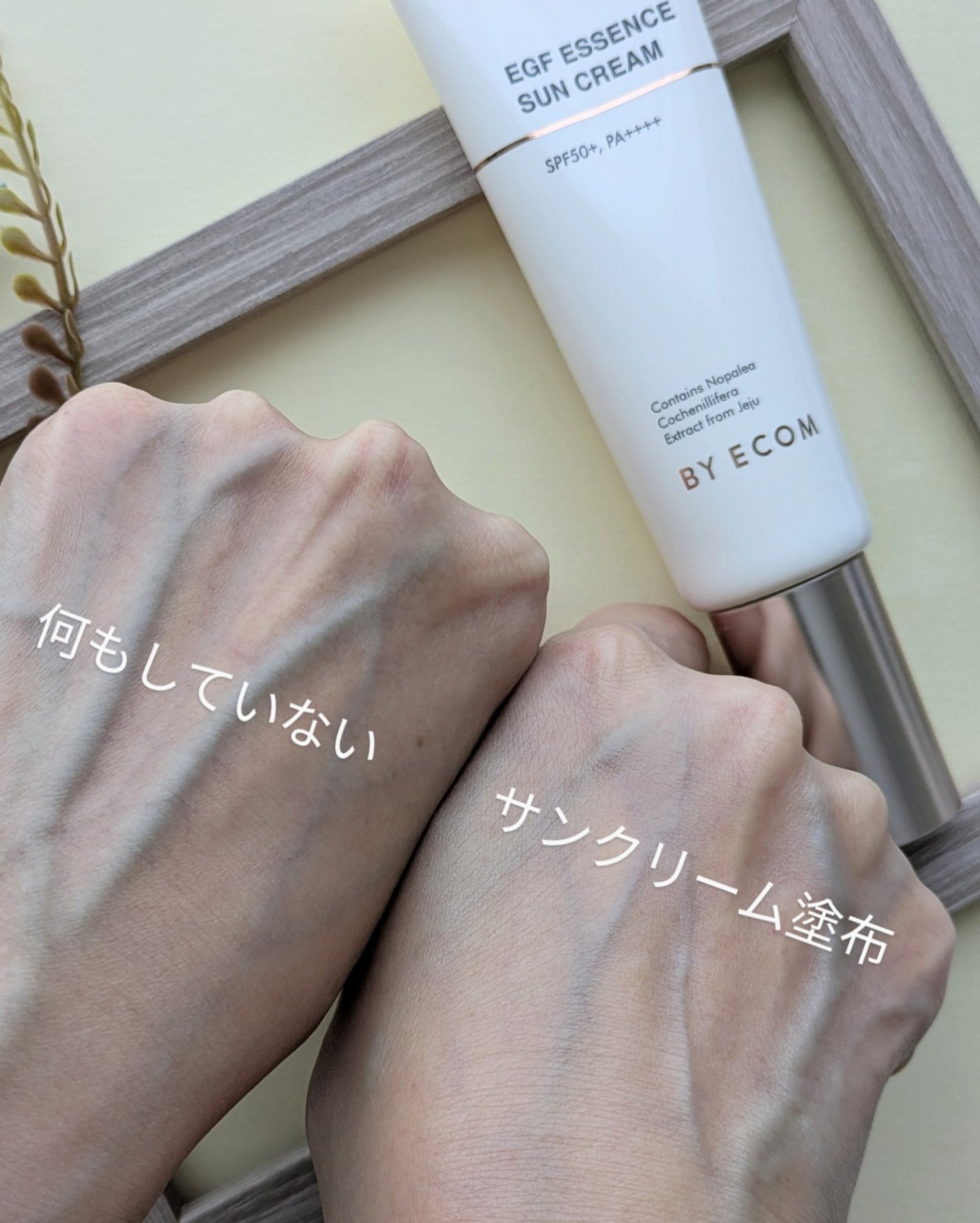 EGF エッセンスサンクリーム/BY ECOM/日焼け止めクリームを使ったクチコミ(4枚目)