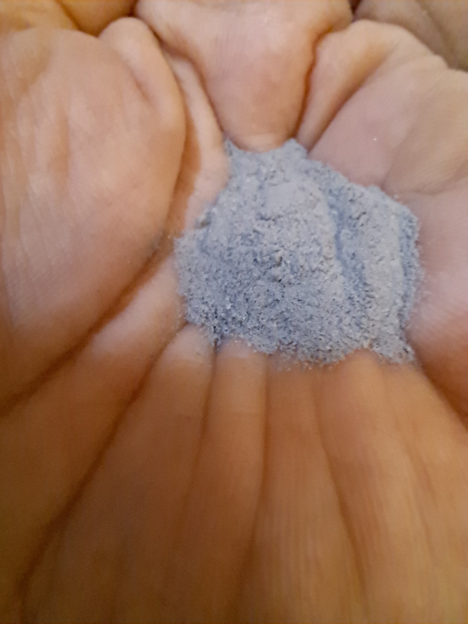 ディープクリア洗顔パウダー/ファンケル/洗顔パウダーを使ったクチコミ（3枚目）