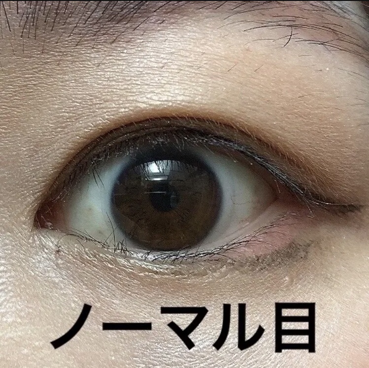 WOSADO マグネット式つけまつ毛/WOSADO/その他を使ったクチコミ（2枚目）