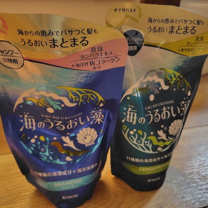 うるおいケアシャンプー/コンディショナー/海のうるおい藻/市販シャンプーを使ったクチコミ(1枚目)