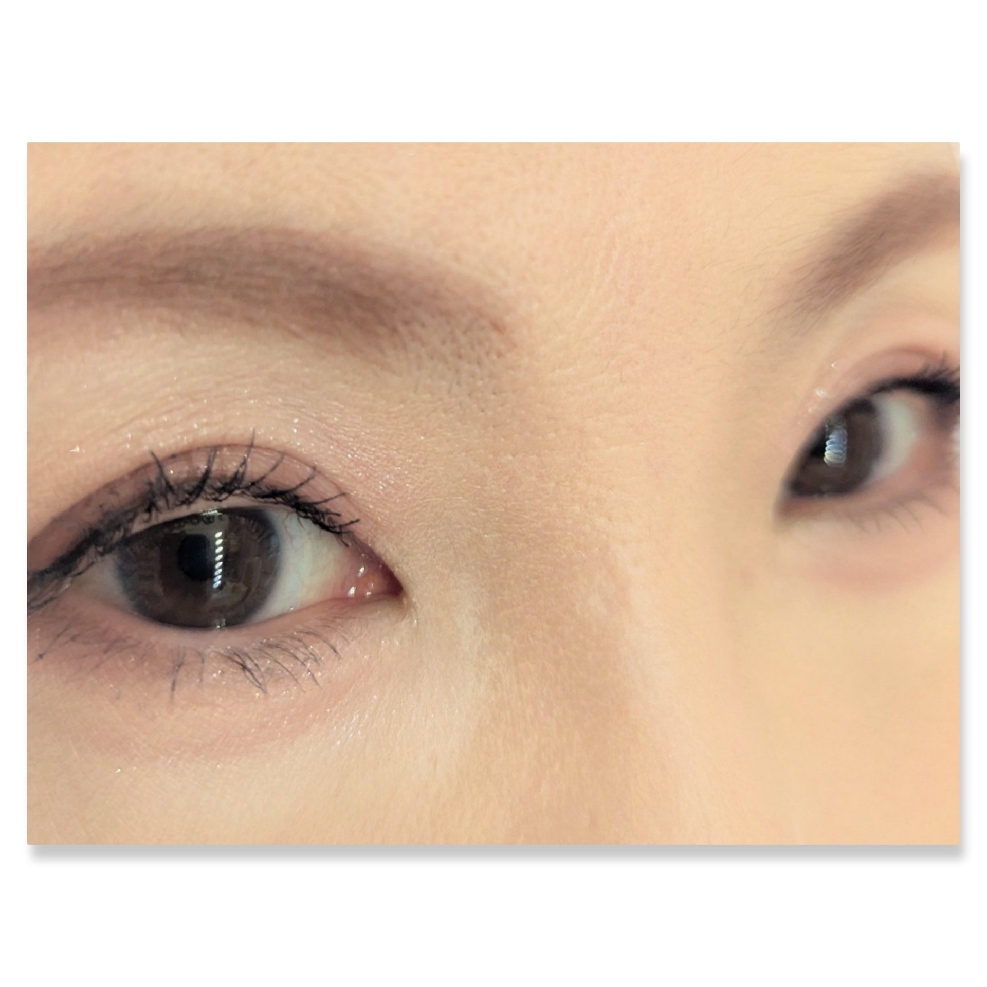 バーチャルアイズメイカー/KATE/アイシャドウパレットを使ったクチコミ（2枚目）