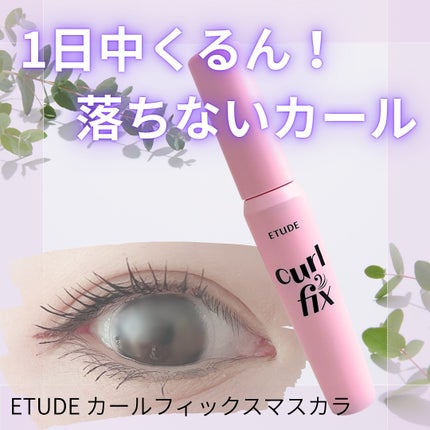 カールフィックスマスカラ/ETUDE/マスカラを使ったクチコミ(1枚目)