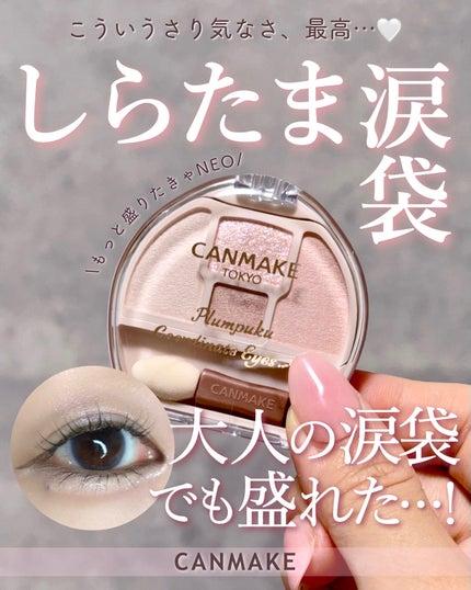 プランぷくコーデアイズNeo/キャンメイク/アイシャドウを使ったクチコミ(1枚目)