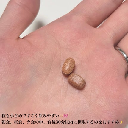 ヴィーガナリー免疫ダイエット 体脂肪カット (シャインマスカット味)/ダルバ/美容サプリメントを使ったクチコミ(3枚目)