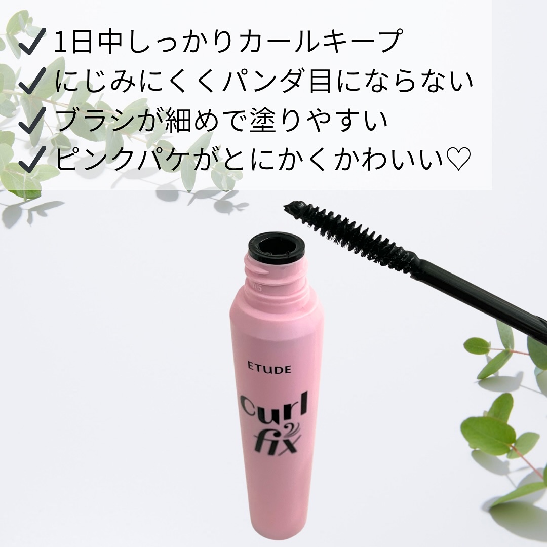 カールフィックスマスカラ/ETUDE/マスカラを使ったクチコミ（2枚目）