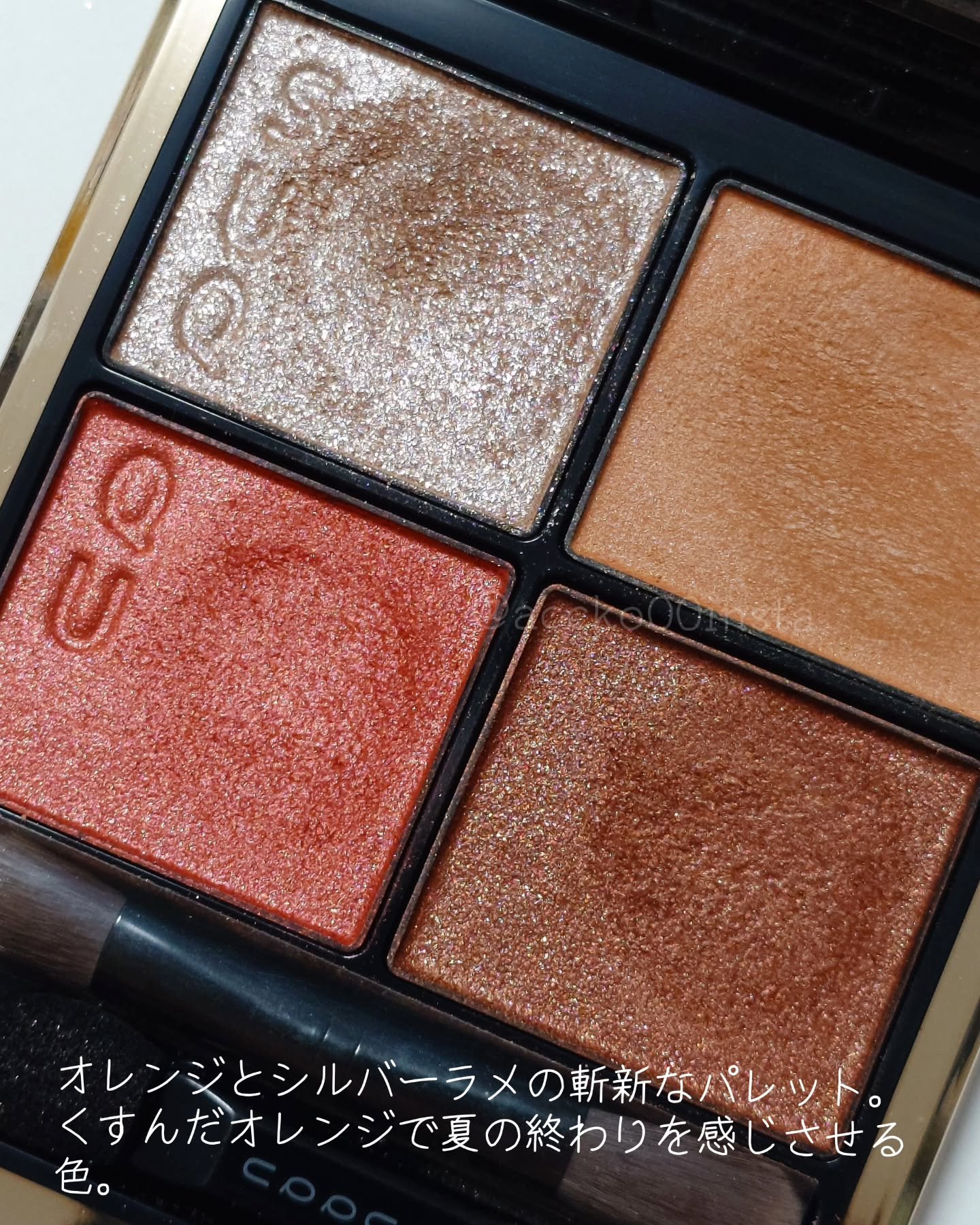 シグニチャー カラー アイズ/SUQQU/アイシャドウパレットを使ったクチコミ（2枚目）