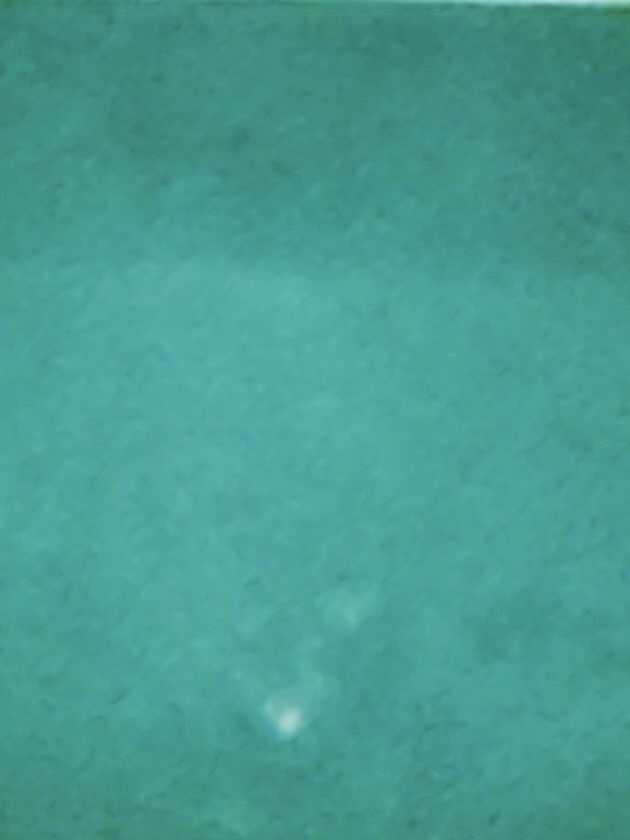 ボールド　レノア超消臭　DETOX/ボールド/洗濯洗剤を使ったクチコミ（2枚目）