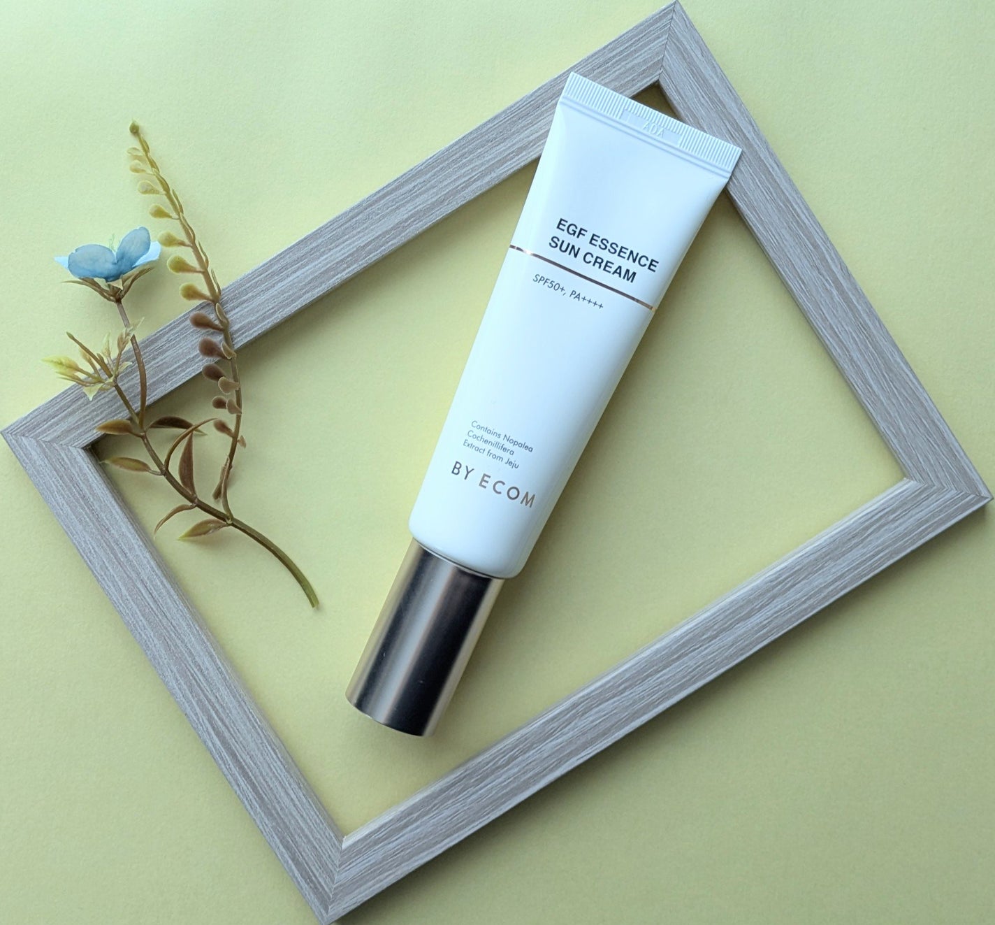 EGF エッセンスサンクリーム BY ECOM