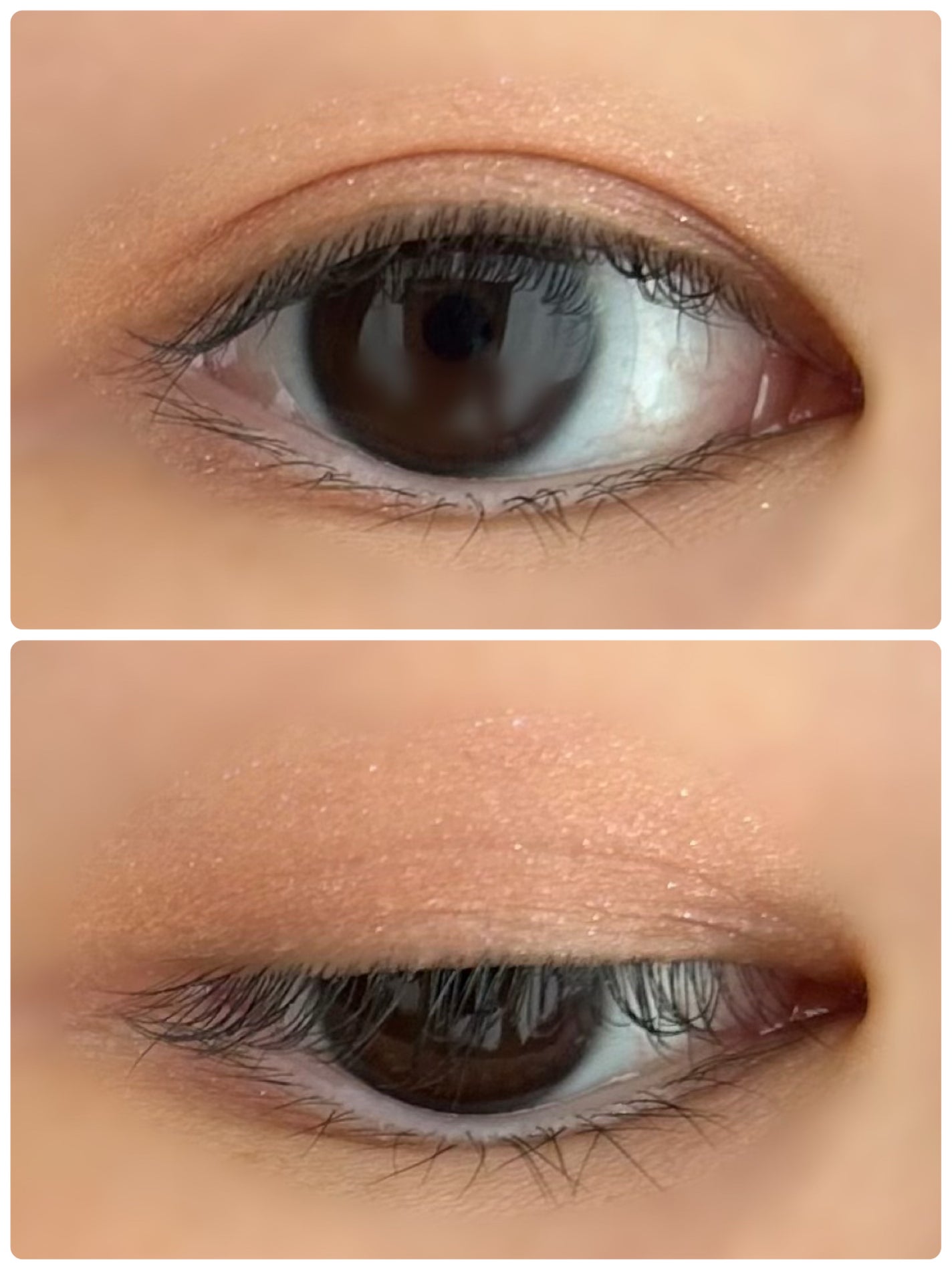 トーン ペタル フロート アイパレット/to/one/アイシャドウパレットを使ったクチコミ(2枚目)