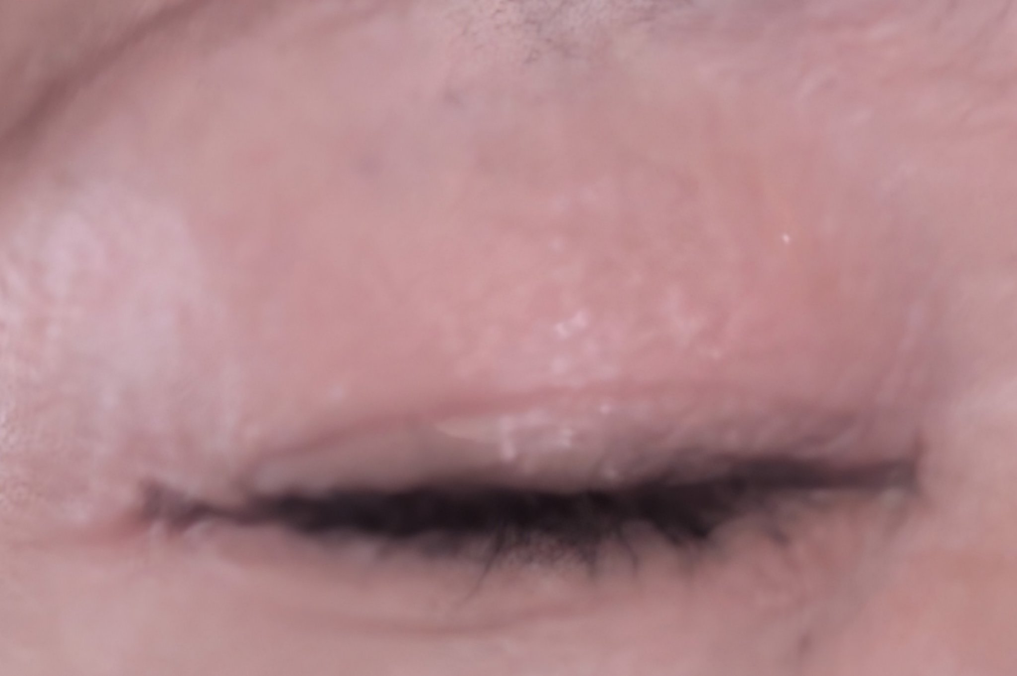 ジューシーピュアアイズ/キャンメイク/アイシャドウパレットを使ったクチコミ（3枚目）