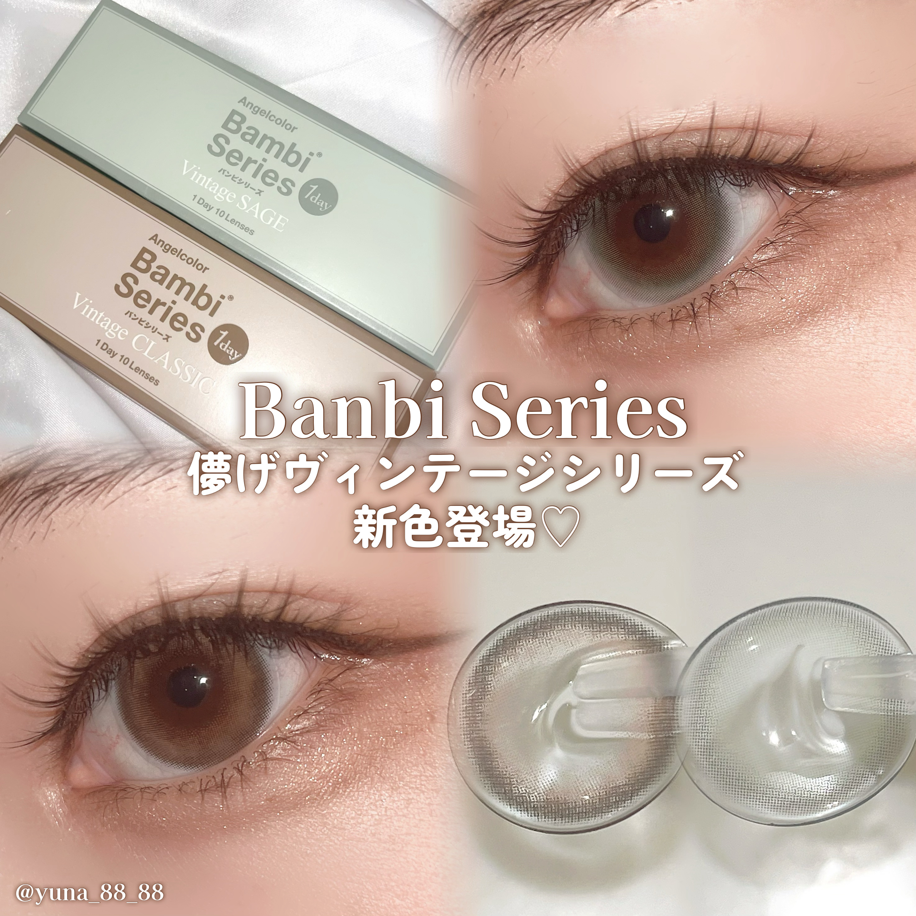 Angelcolor Bambi Series Vintage 1day ヴィンテージクラシック/AngelColor/ワンデー（１DAY）カラコンを使ったクチコミ（1枚目）