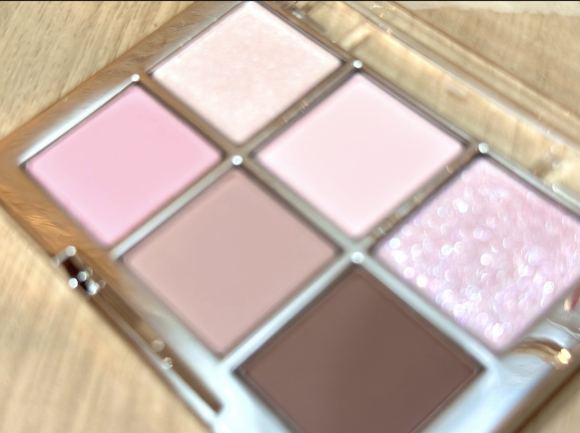 ベターミーアイパレット/2aN/マルチパレットを使ったクチコミ（2枚目）