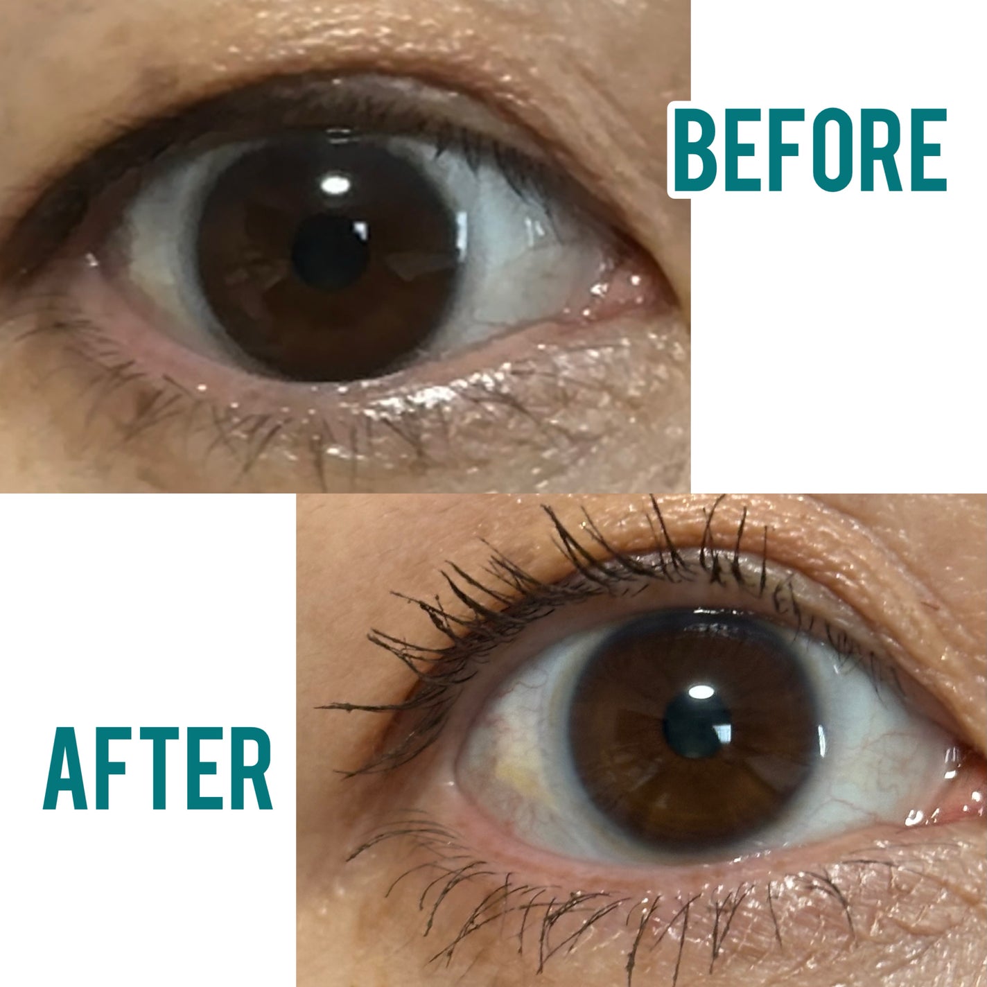 さゆさんさん on LIPS 「FIVEVIBEエクストラスリムカールアップマスカラブラウン色..」(2枚目)