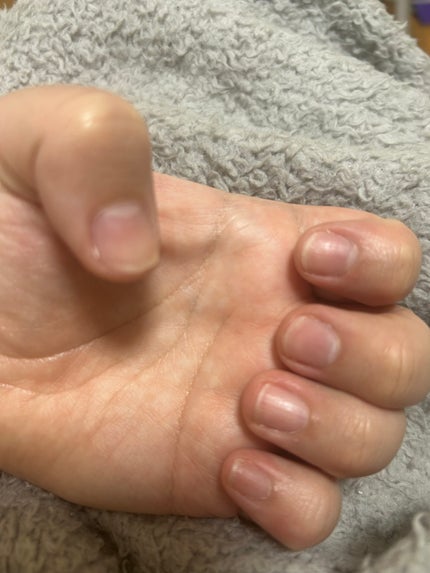 を使ったクチコミ(2枚目)