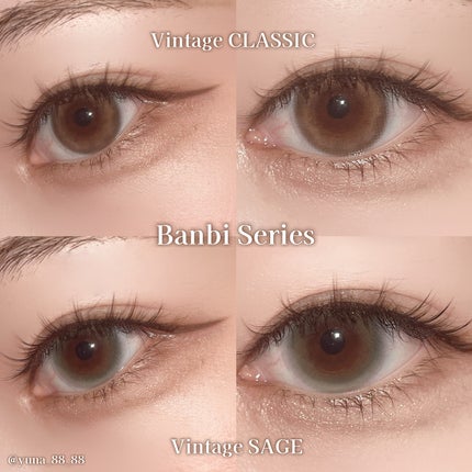 Angelcolor Bambi Series Vintage 1day/AngelColor/ワンデー(1DAY)カラコンを使ったクチコミ(4枚目)