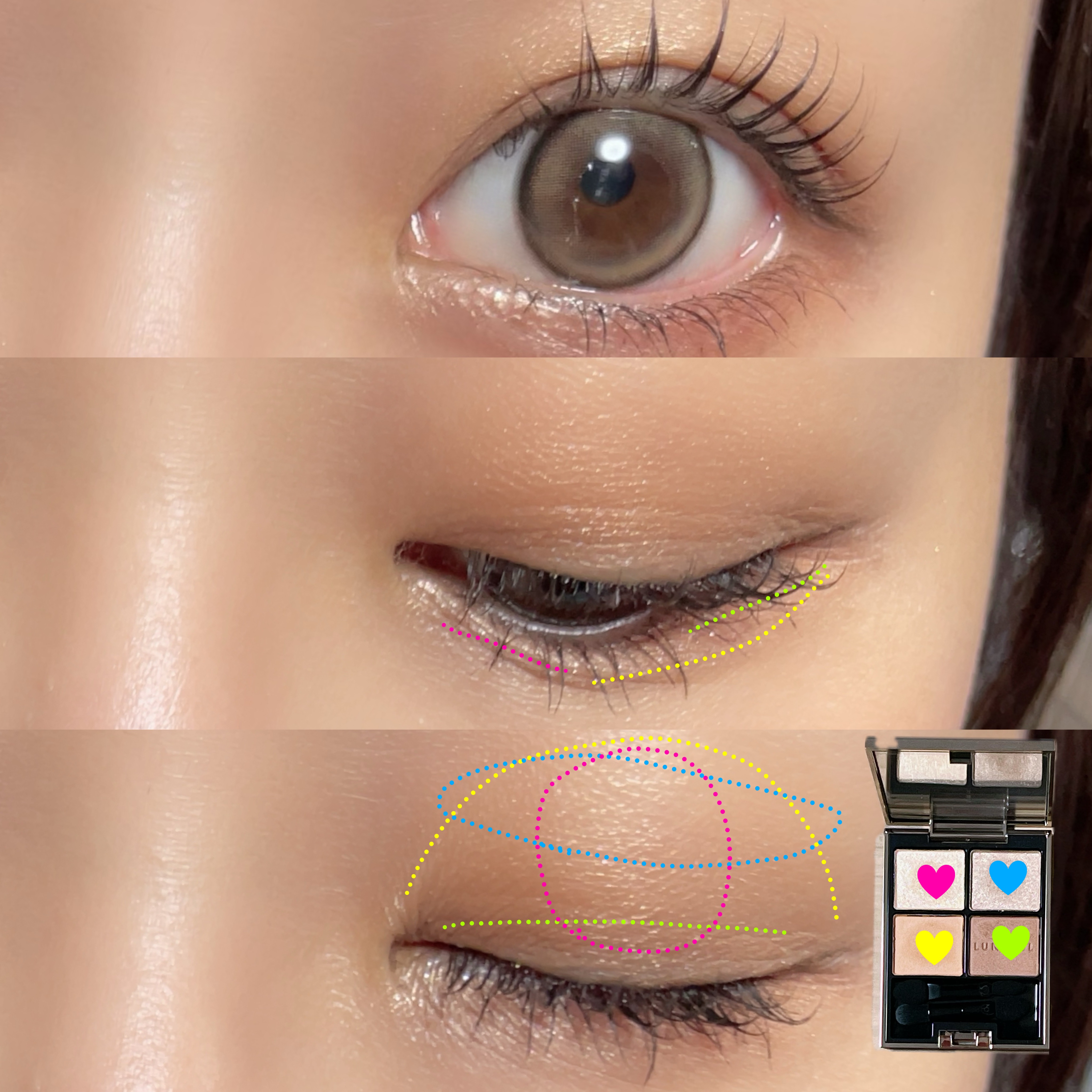 アイカラーレーション/LUNASOL/アイシャドウパレットを使ったクチコミ（2枚目）