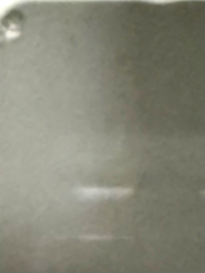 レノア クエン酸in超消臭 フレッシュグリーンの香り/レノア/柔軟剤を使ったクチコミ（2枚目）