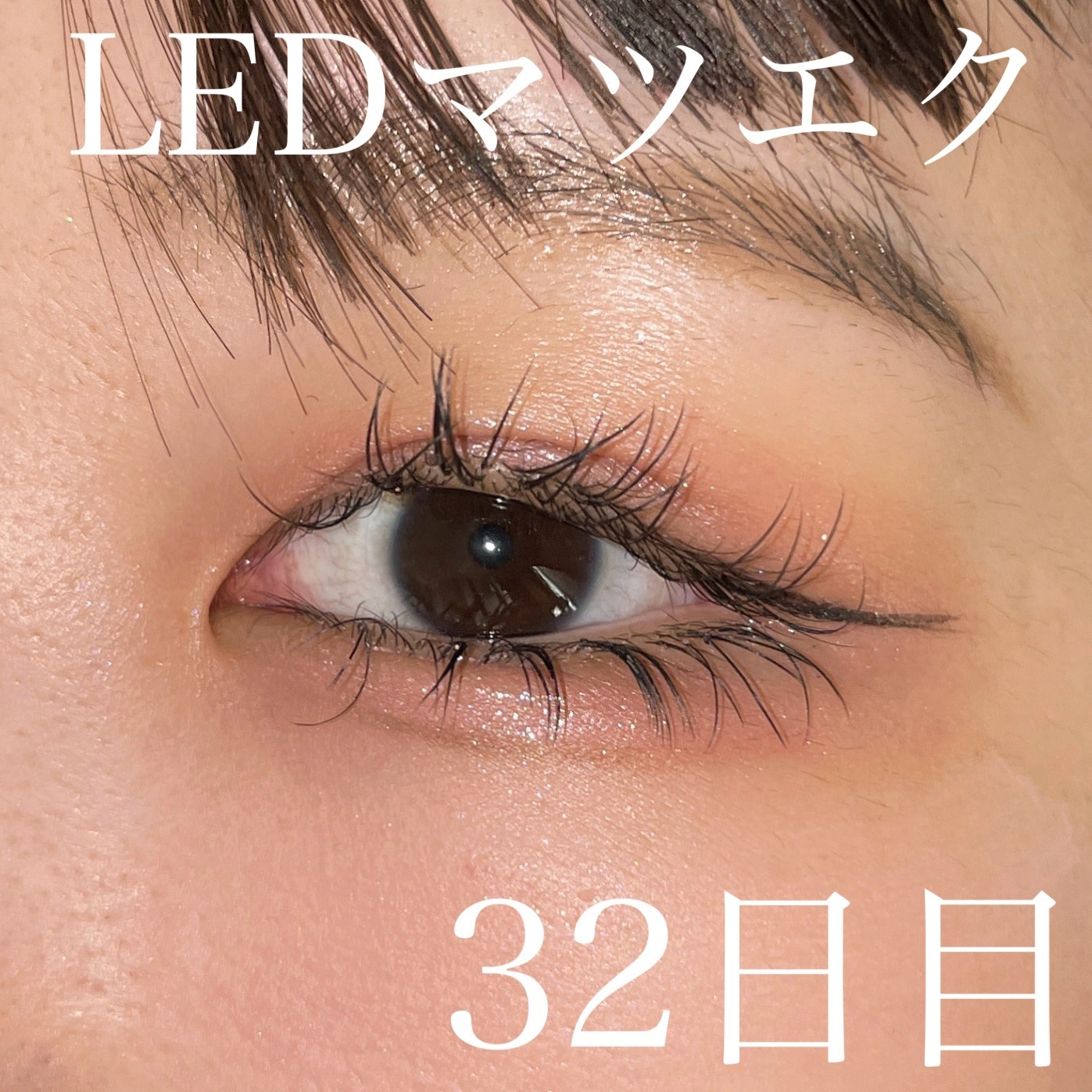 メロウシャドウ/KiSS/ジェル・クリームアイシャドウを使ったクチコミ（1枚目）