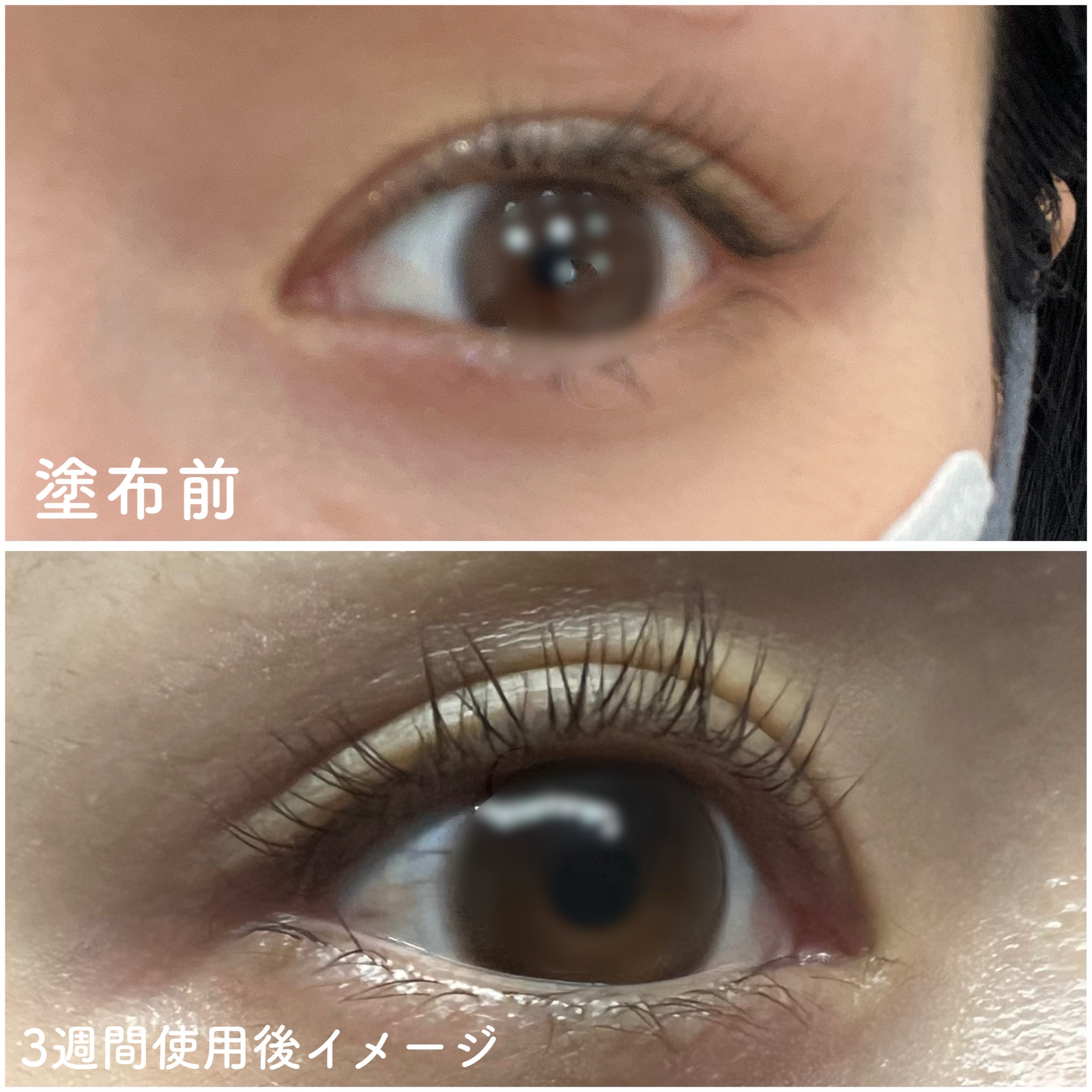 アイラッシュエッセンシャルセラム/epais/まつげ美容液を使ったクチコミ（3枚目）