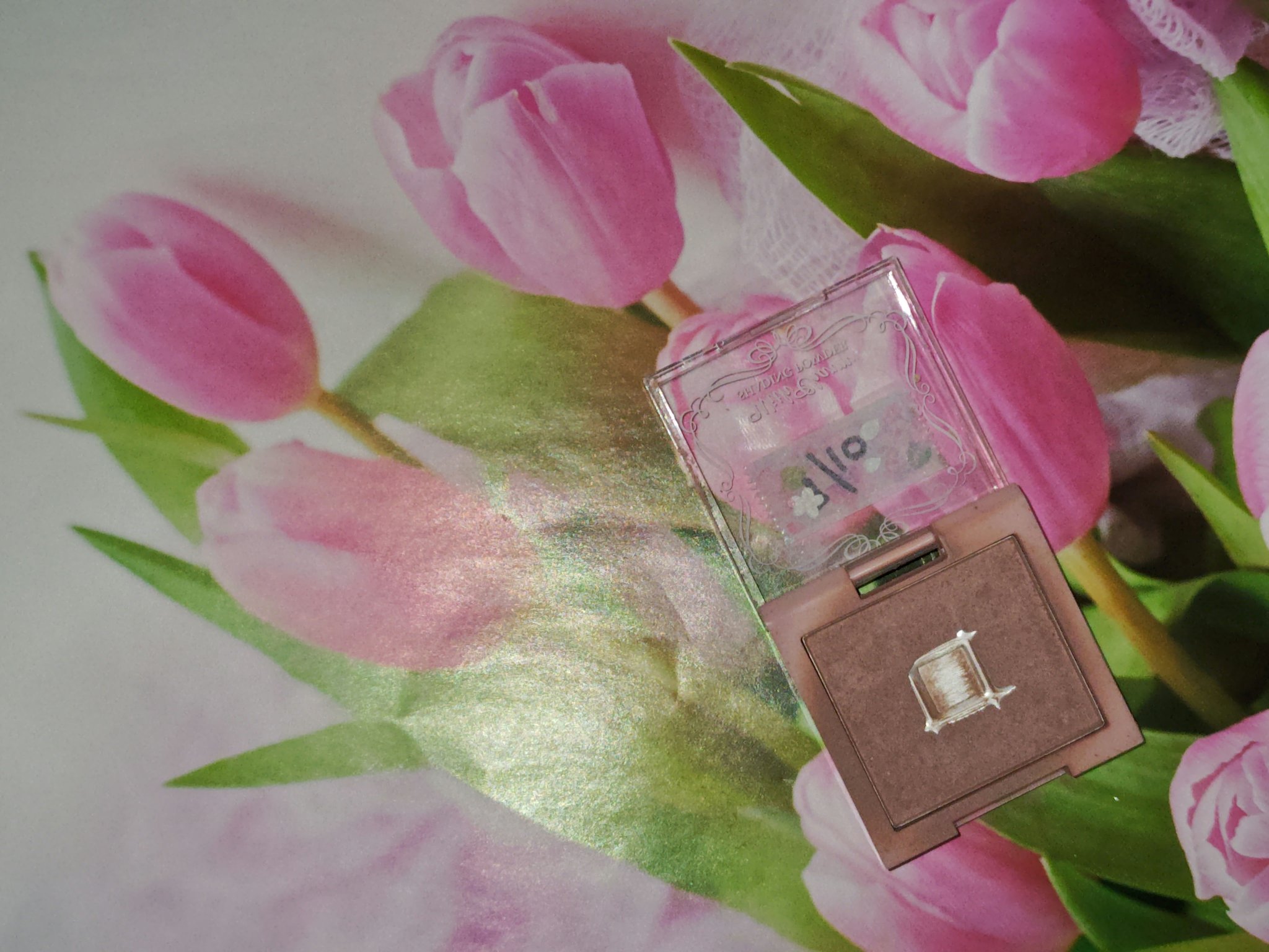 &. Wチャーム シェーディングパウダー/DAISO/シェーディングを使ったクチコミ（1枚目）