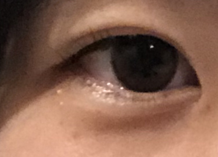 ReVIA 1day/ReVIA/ワンデー（１DAY）カラコンを使ったクチコミ（3枚目）