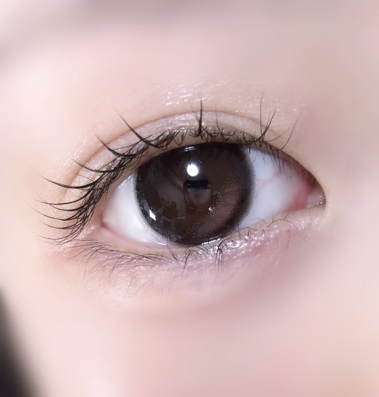 SIE. 1day MY BABY (マイベイビー)/SIE./ワンデー（１DAY）カラコンを使ったクチコミ（1枚目）