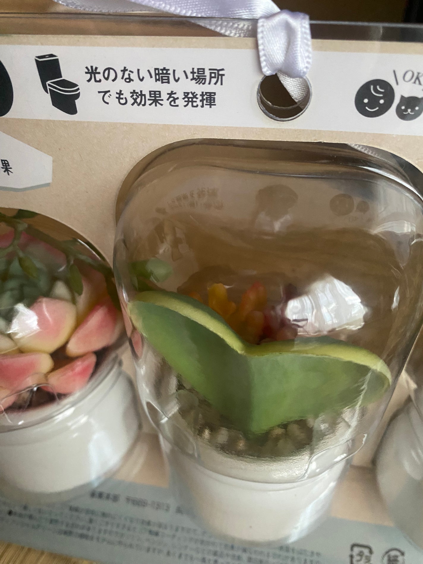 ゆみこさん on LIPS 「妹がくれた♡カワイイ癒される消臭なんかまでしてくれちゃって健気..」(3枚目)