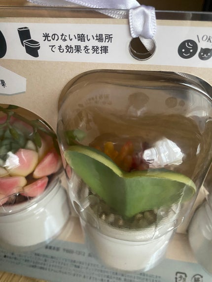 ゆみこさん on LIPS 「妹がくれた♡カワイイ癒される消臭なんかまでしてくれちゃって健気..」(3枚目)