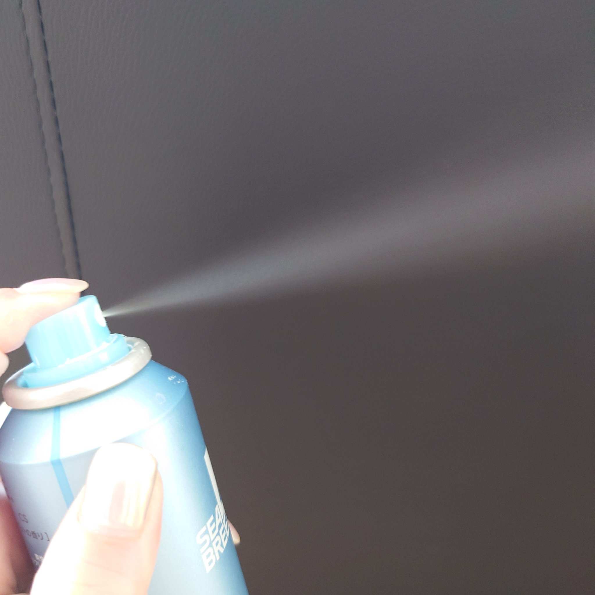 シーブリーズ アイスドライシャンプー/シーブリーズ/ドライシャンプーを使ったクチコミ（3枚目）