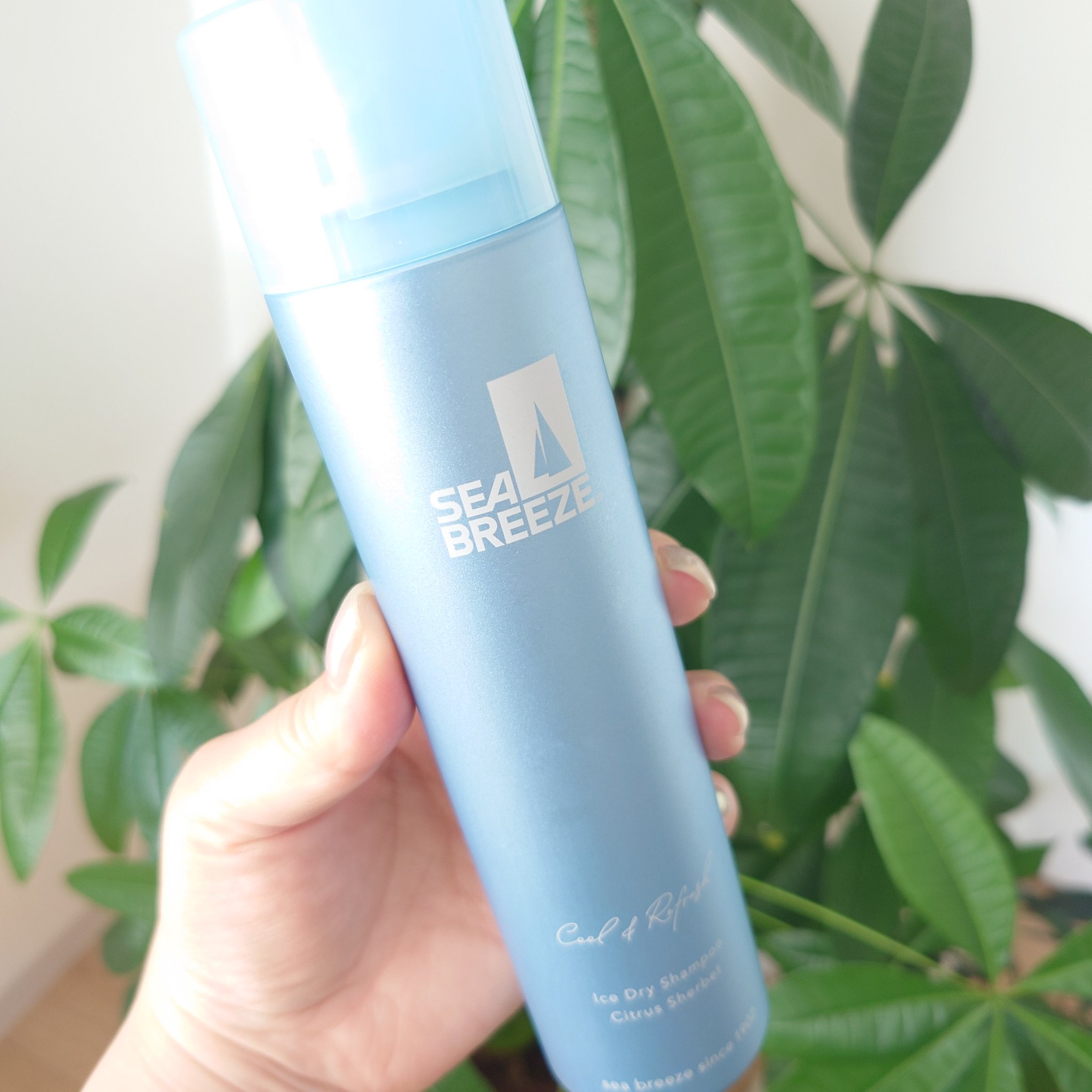 シーブリーズ アイスドライシャンプー/シーブリーズ/ドライシャンプーを使ったクチコミ（2枚目）