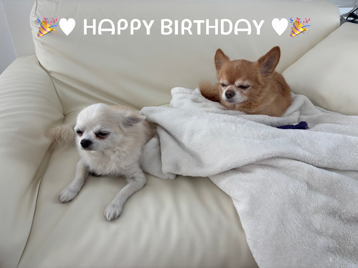 カラフルネイルズ/キャンメイク/マニキュアを使ったクチコミ(6枚目)