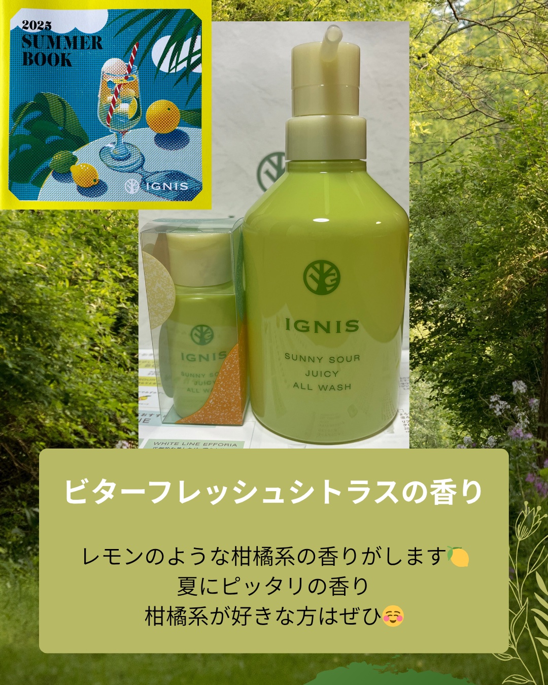 サニーサワー オールウォッシュ/IGNIS/ボディソープを使ったクチコミ（2枚目）