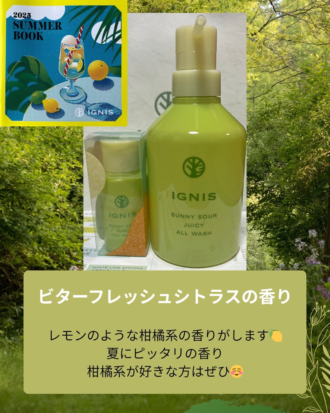 サニーサワー オールウォッシュ/IGNIS/ボディソープを使ったクチコミ(2枚目)