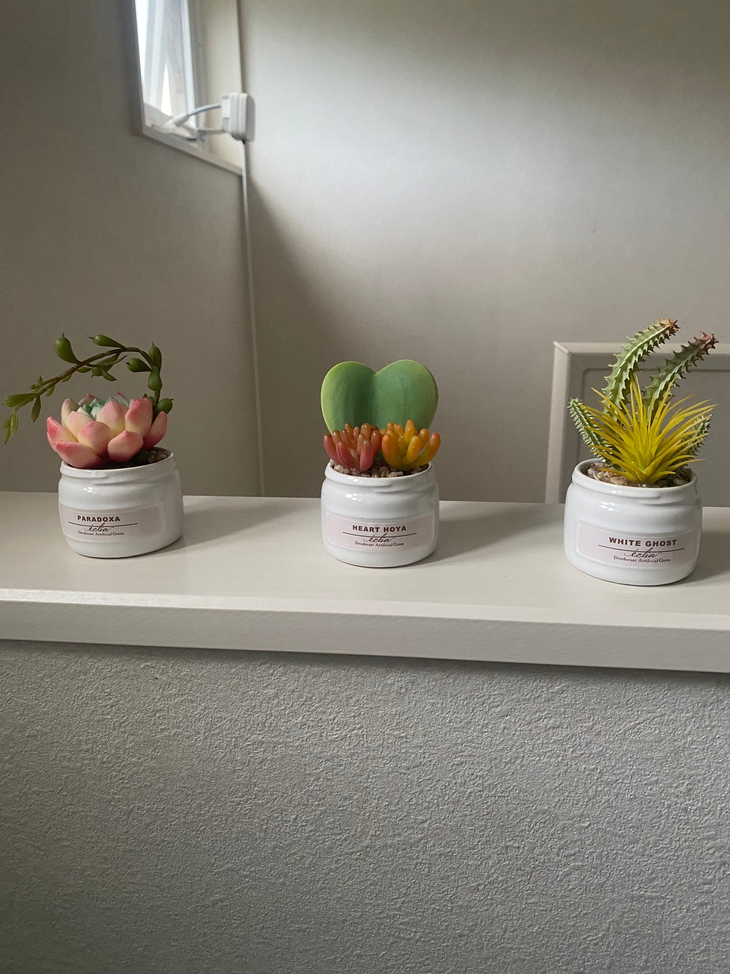 ゆみこさん on LIPS 「妹がくれた♡カワイイ癒される消臭なんかまでしてくれちゃって健気..」(5枚目)