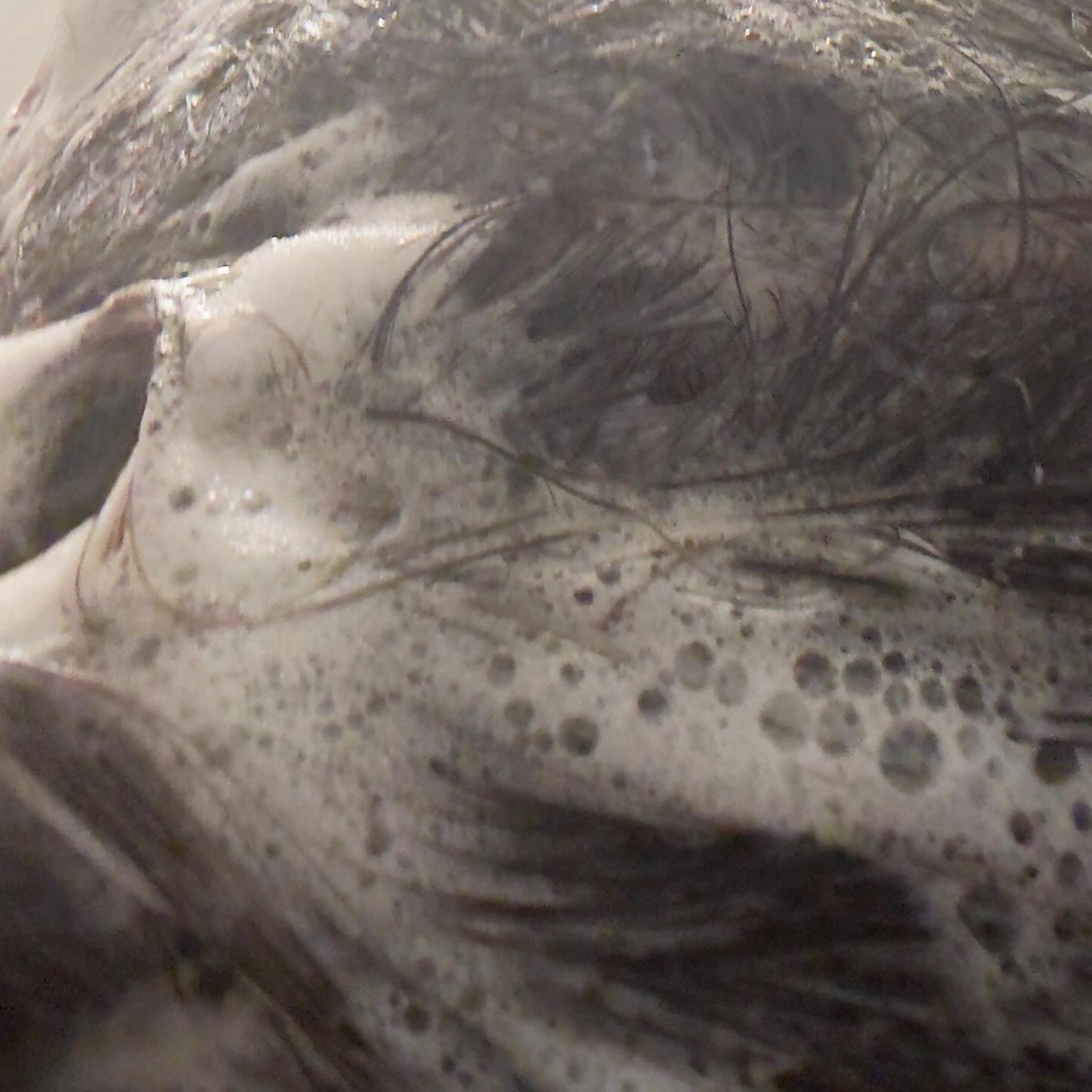 ウォータートリートメントミラクル10/moremo/洗い流すヘアトリートメントを使ったクチコミ(5枚目)