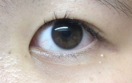 ReVIA 1day/ReVIA/ワンデー（１DAY）カラコンを使ったクチコミ（2枚目）