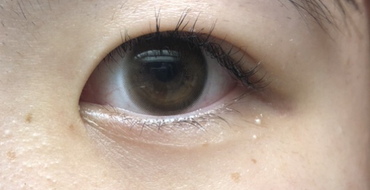 ReVIA 1day/ReVIA/ワンデー（１DAY）カラコンを使ったクチコミ（1枚目）