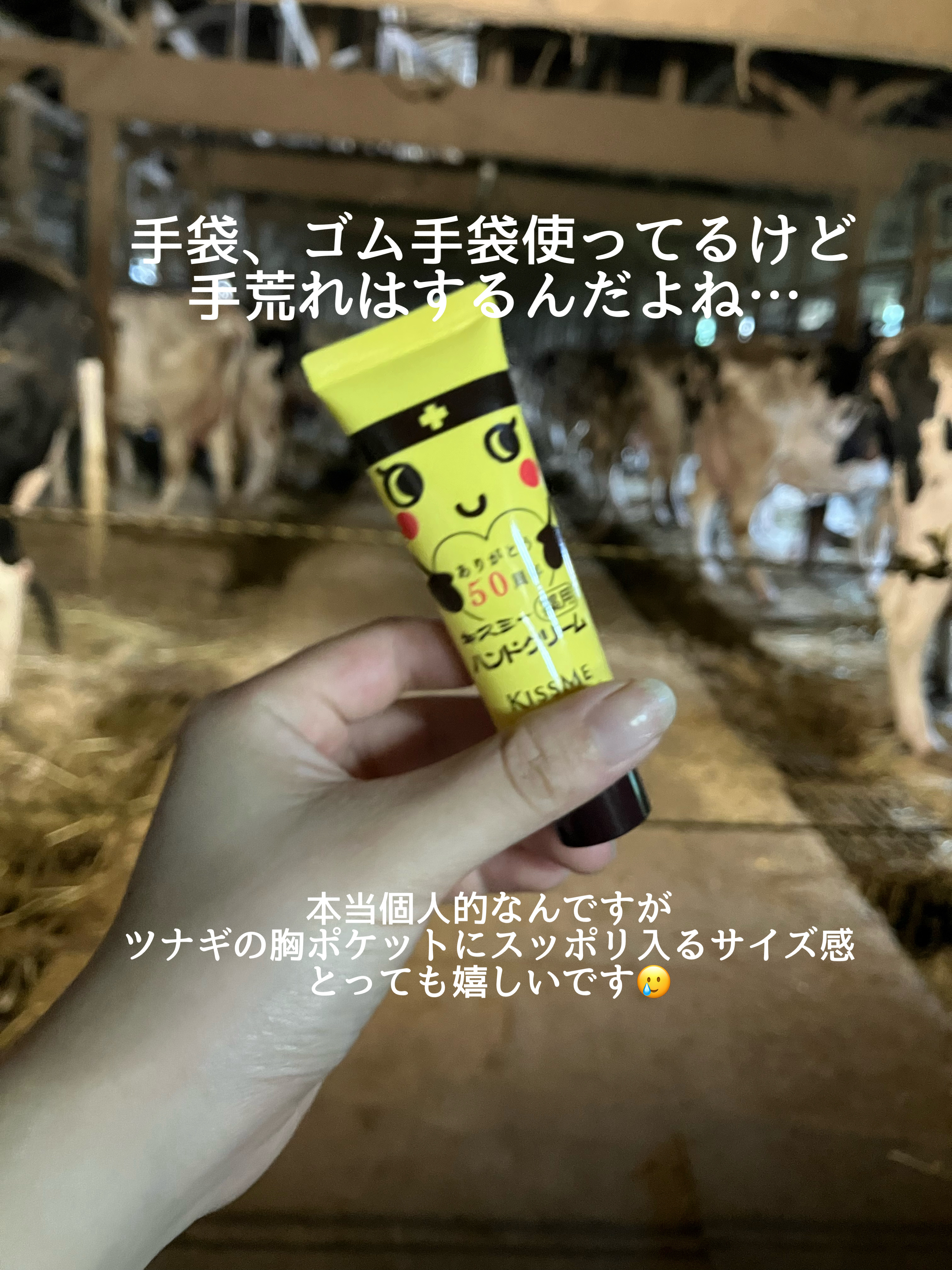 キスミー薬用ハンドクリーム/キスミー 薬用シリーズ/ハンドクリームを使ったクチコミ（3枚目）