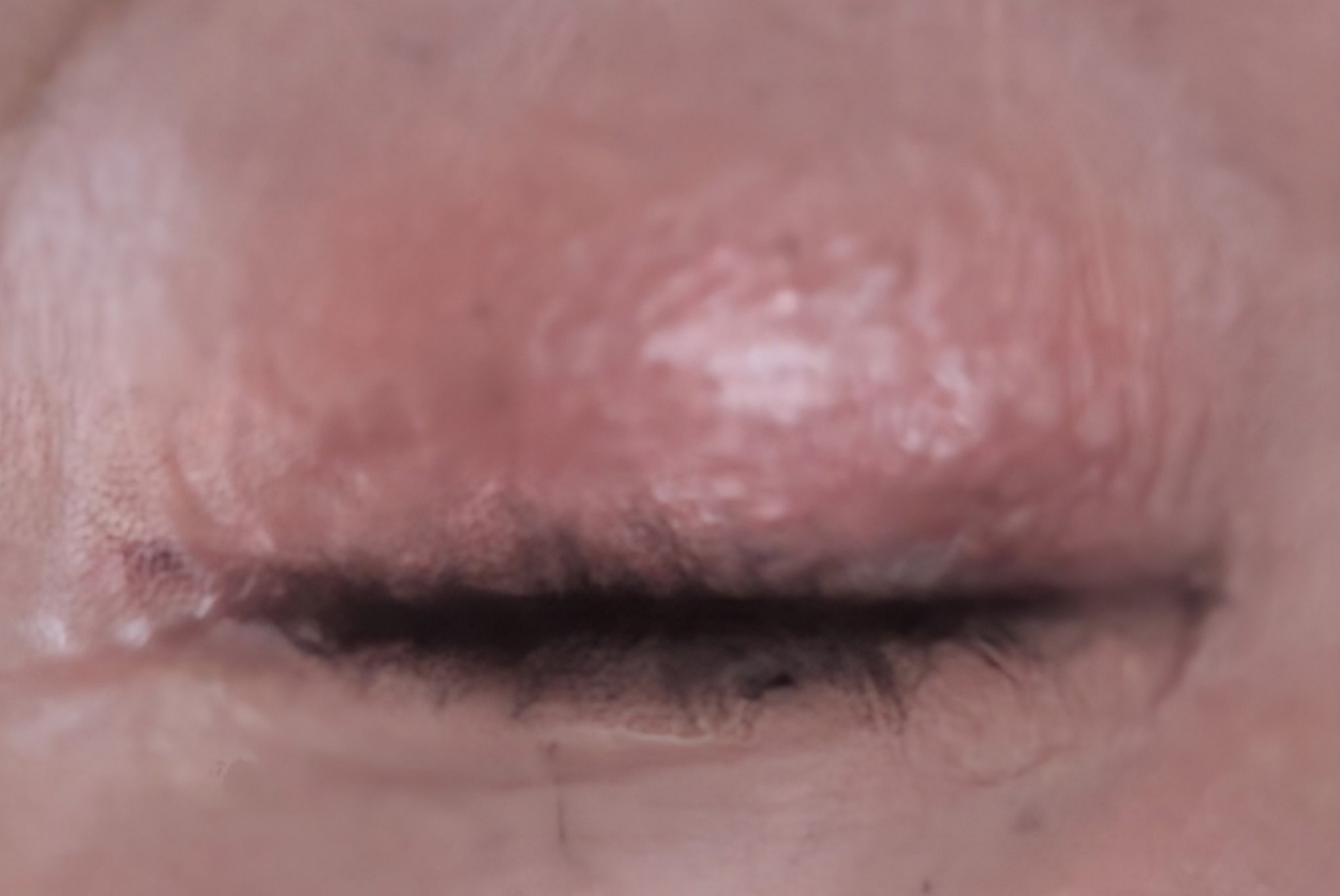 シャインアイシャドウパレット 03 グローリーピーチ/BabyBright/アイシャドウパレットを使ったクチコミ（3枚目）