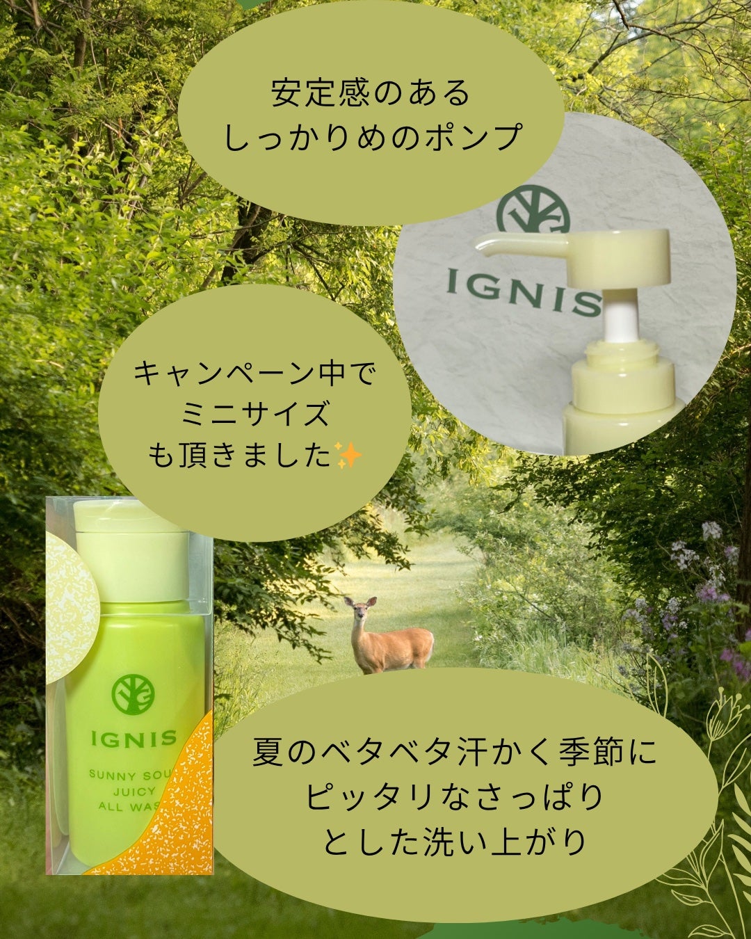 サニーサワー オールウォッシュ/IGNIS/ボディソープを使ったクチコミ(4枚目)