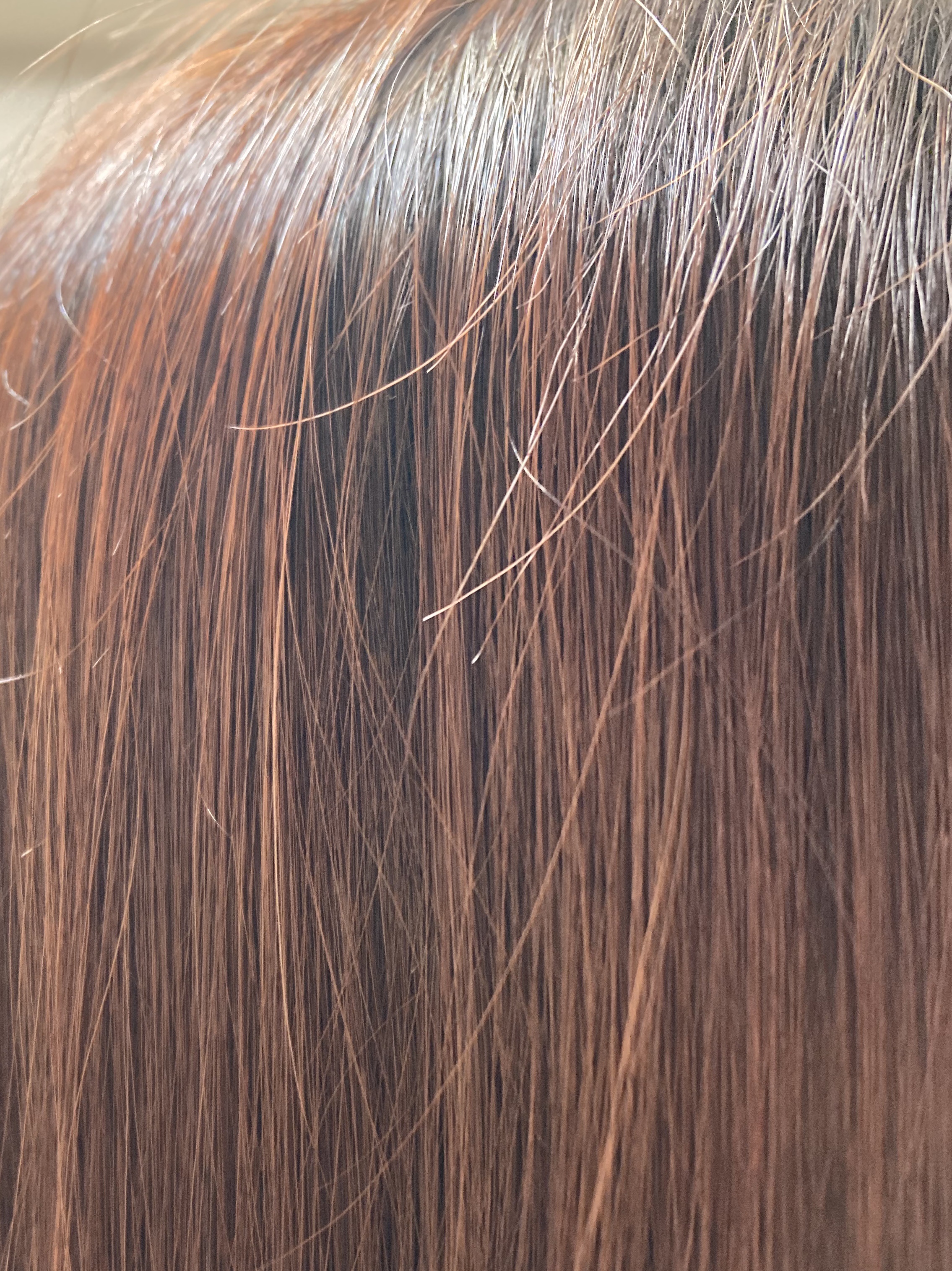 デビルズトリック/クイスクイス/ヘアカラーを使ったクチコミ（3枚目）