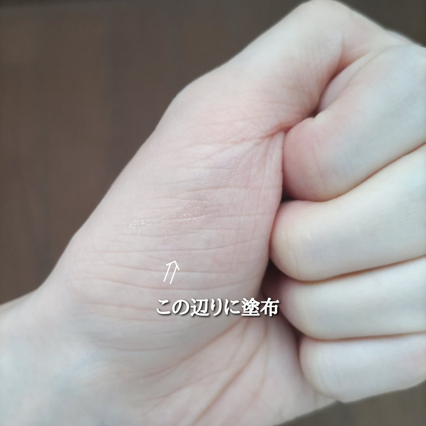 ビオリカ ボタニカル&ライス配合モイスチャーリップ/BIORICA(ビオリカ)/リップケアを使ったクチコミ(5枚目)