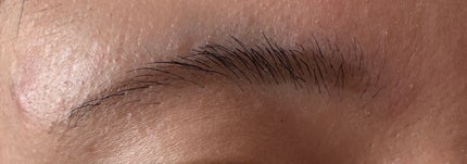 ベルベットアイブロウ/LUMIURGLAS/リキッドアイブロウを使ったクチコミ(2枚目)