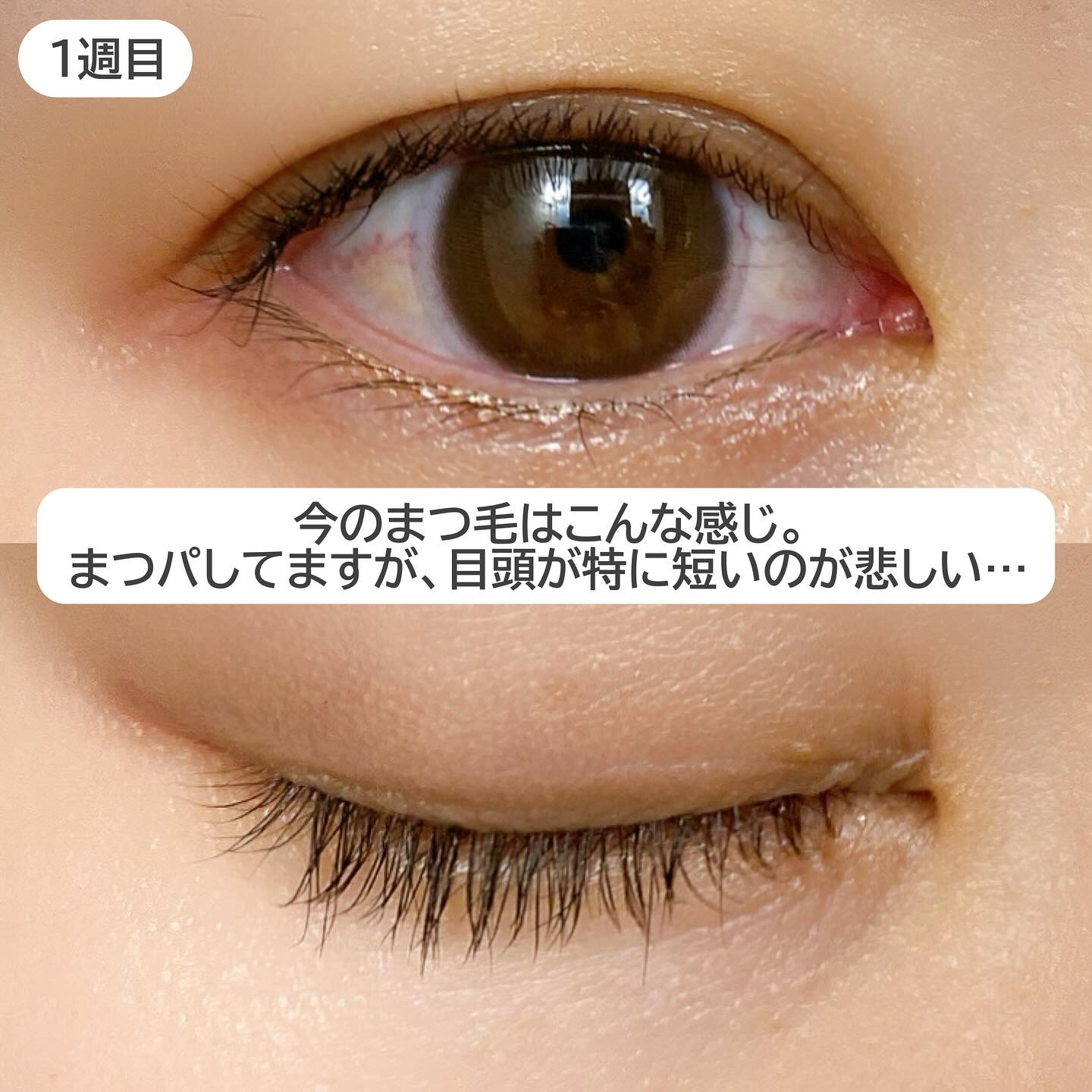 スカルプDまつ毛美容液　クイーン/アンファー(スカルプD)/まつげ美容液を使ったクチコミ（3枚目）